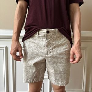 Abercrombie and Fitch Plainfront Shorts